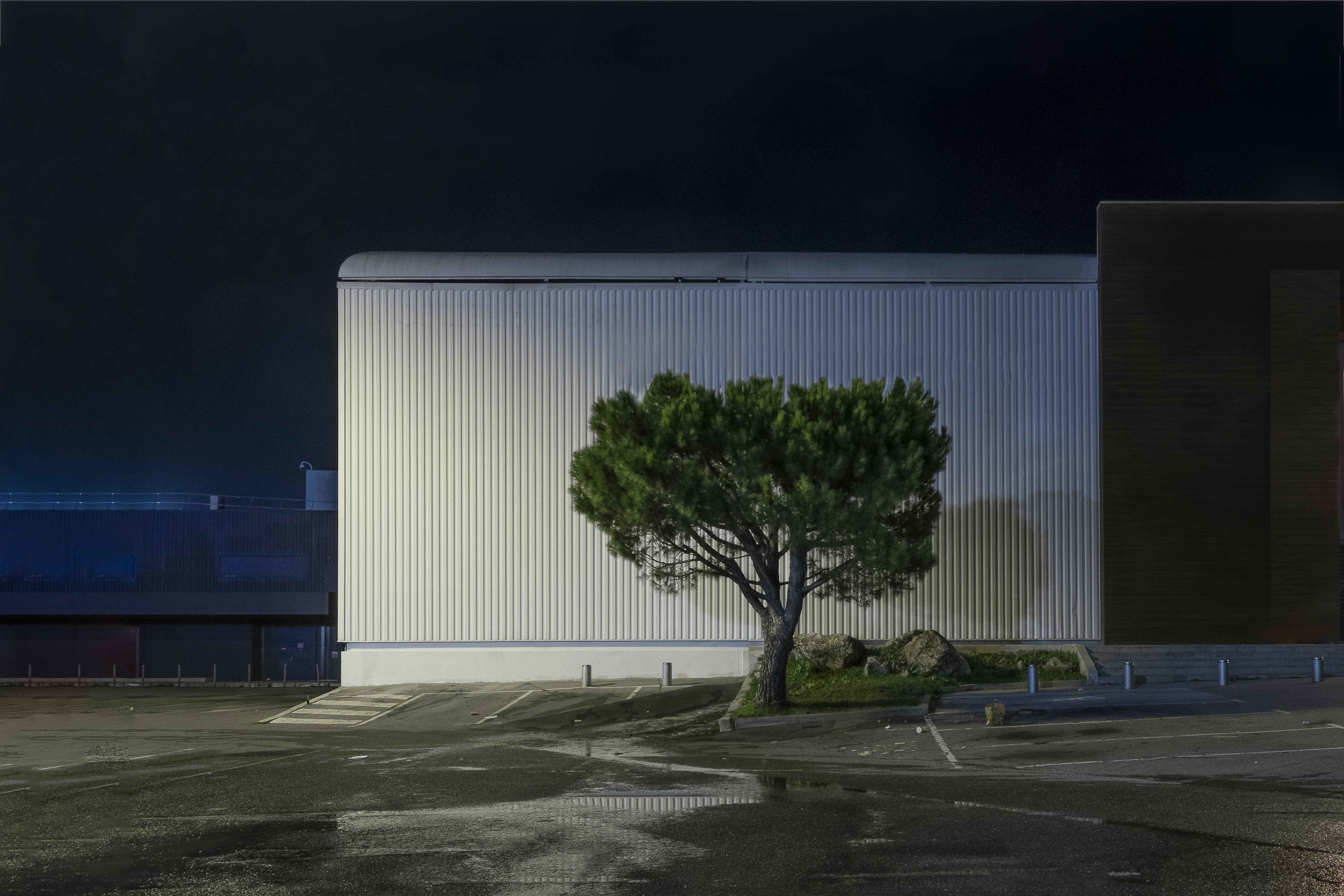 Photographies de Michel Rey, Sculptures Annie Lacour