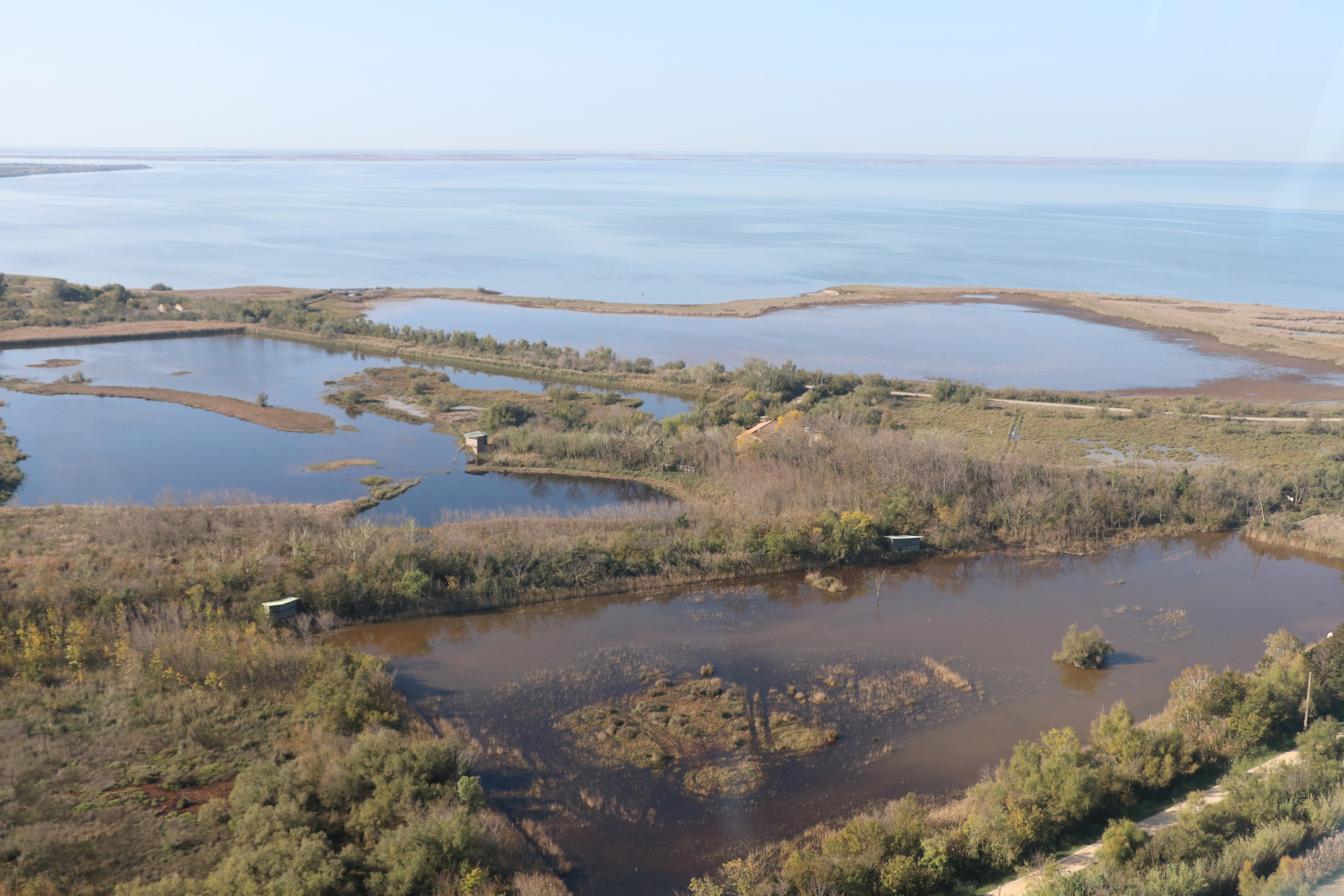 Lieu d'immersion et de balade dans la nature de Camargue, au bord de l'étang du Vaccarès