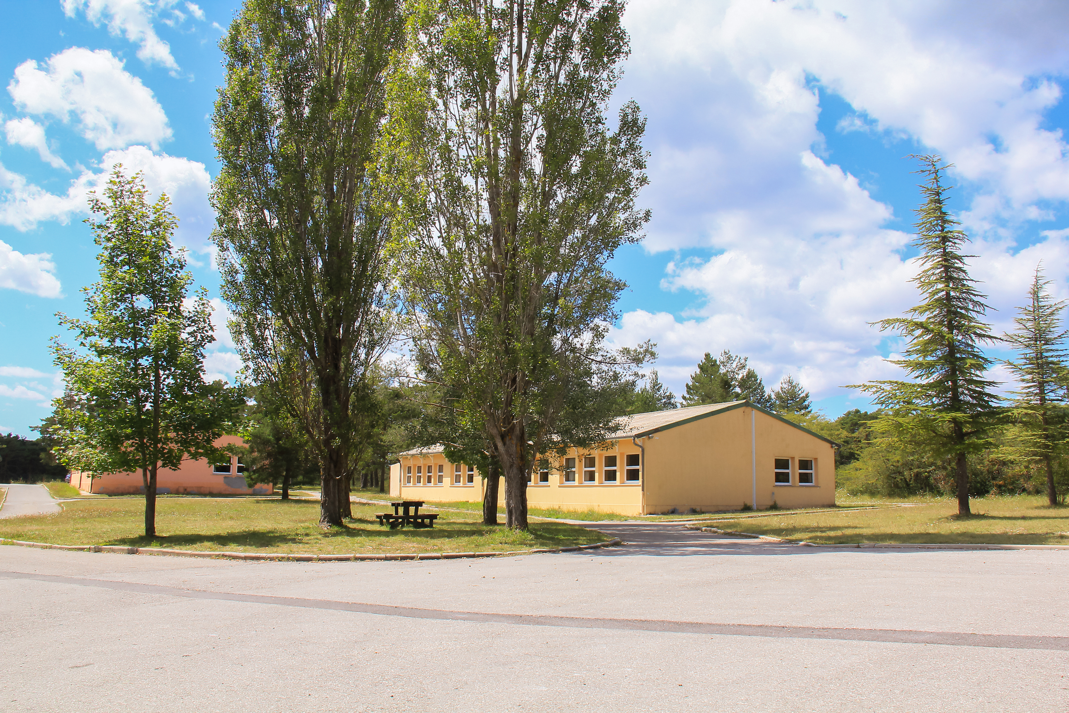 Centre ODEL Le Logis du Pin. Camp "Les Chardons Bleus"