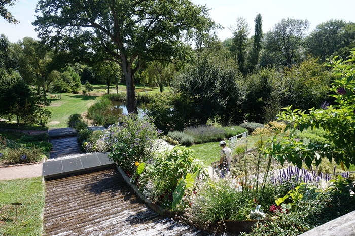 Journées du patrimoine 2020 - Visite libre du Jardin Camifolia