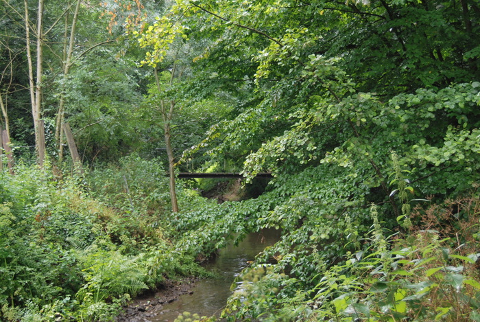 Journées du patrimoine 2020 - Biodiversité de la Vallée de l'Hyrôme