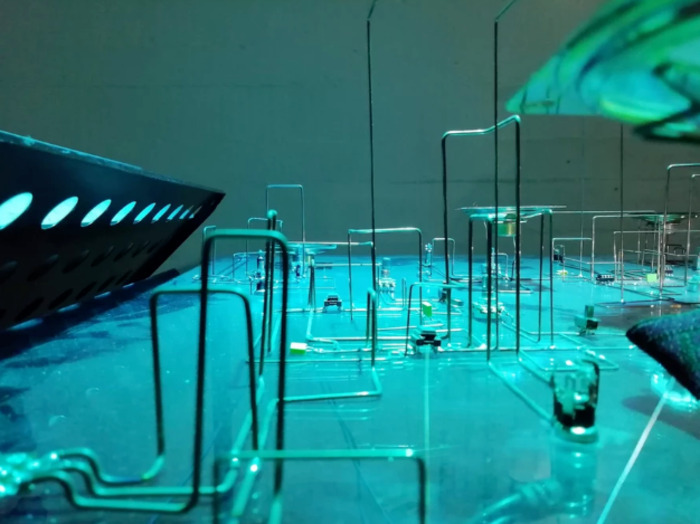 VERNISSAGE // CHLOE MALAISE