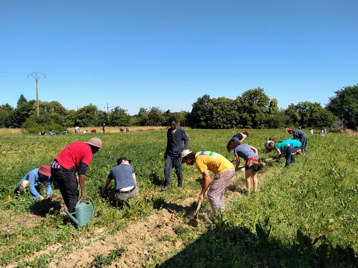 Prochain chantier collectif sur la parcelle solidaire