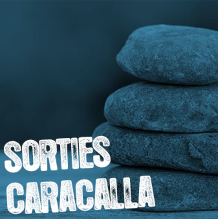 Sortie à Caracalla