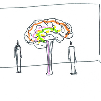 CERVEAU (Annulé)