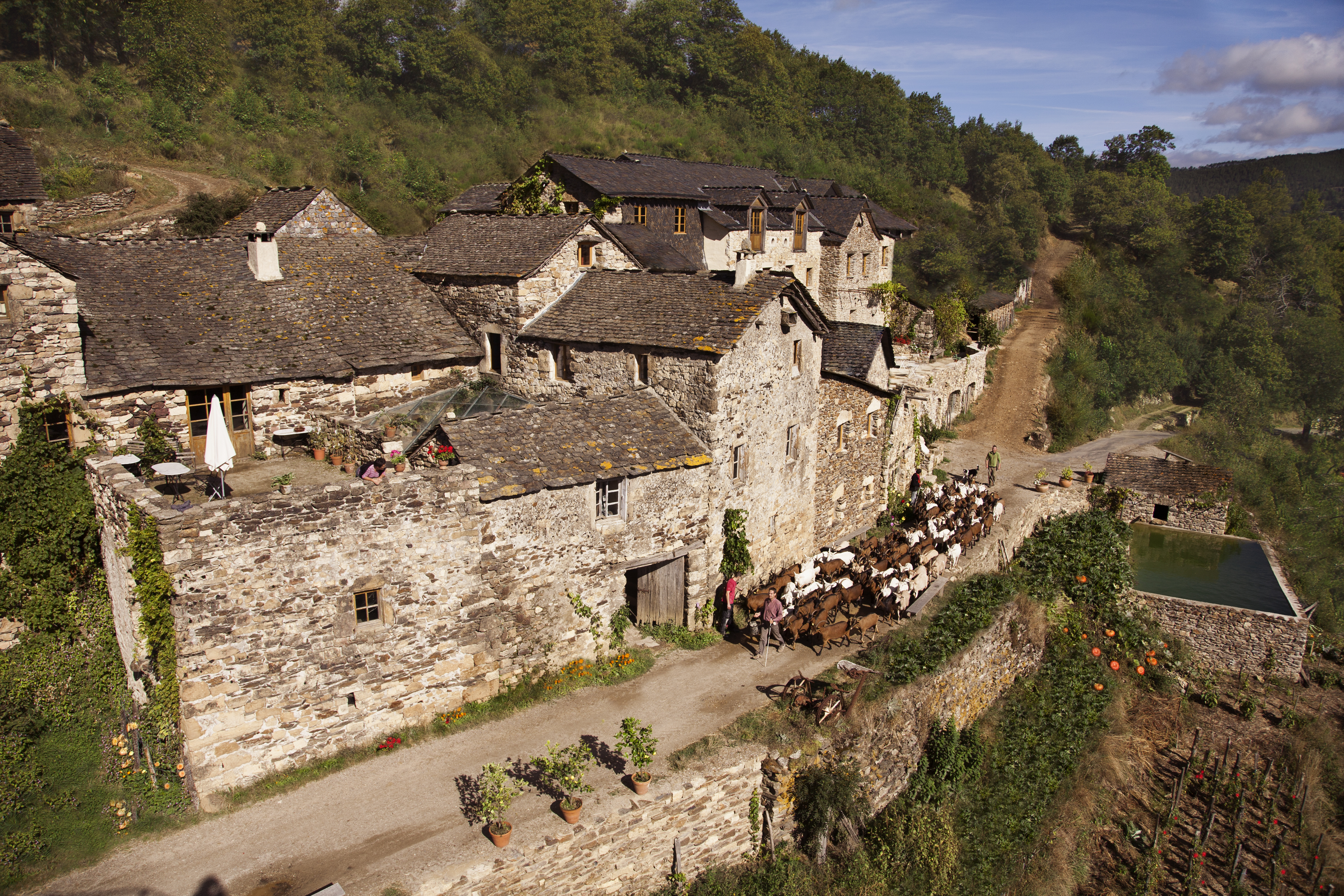 La ferme des Cévennes
