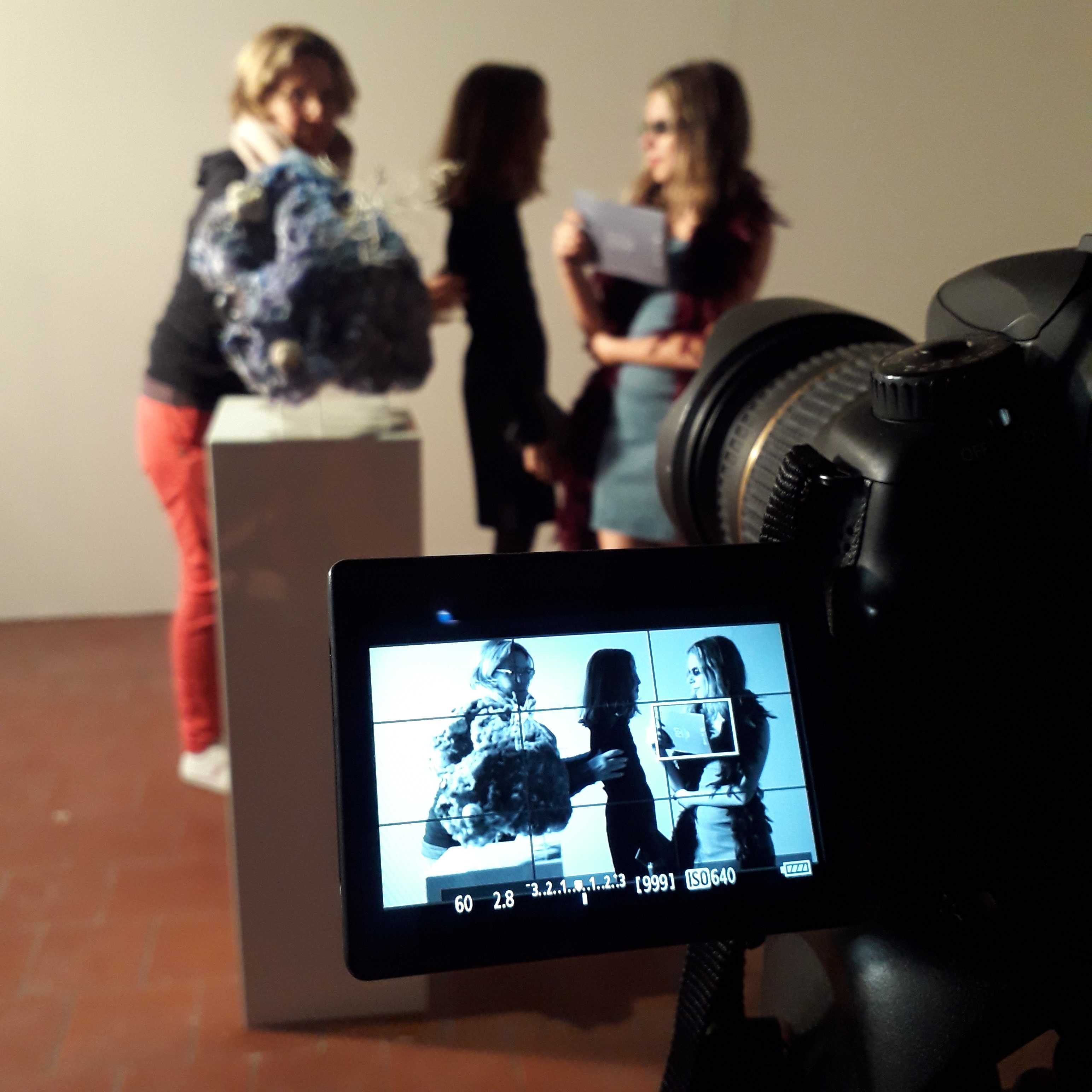 Un stage de création vidéo pour adolescents de 11 à 17 ans avec Mireille Loup, artiste vidéaste