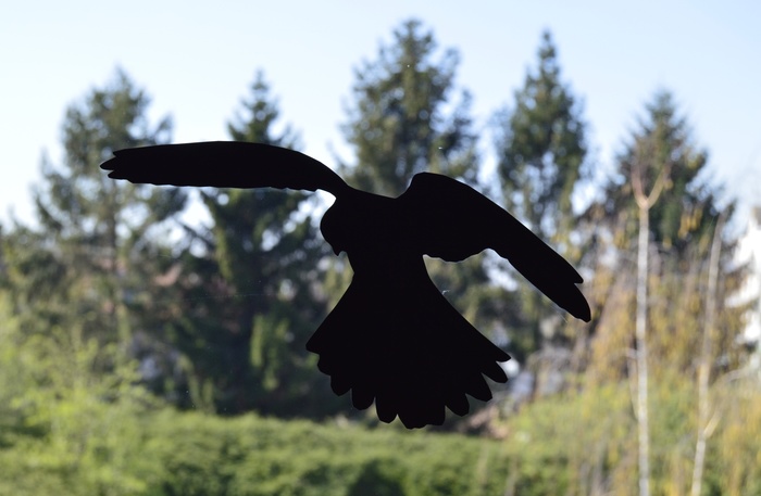Pause Nature : silhouettes anticollision