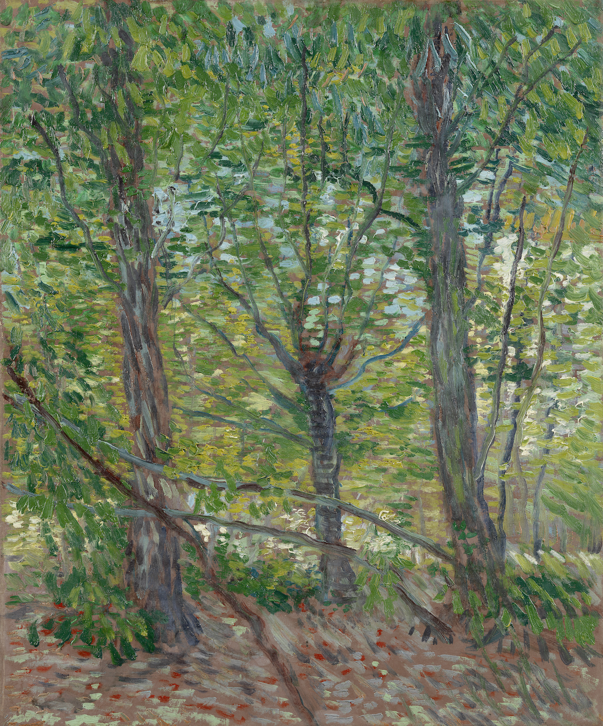 Focus sur le tableau " Arbres " (1887) de Vincent van Gogh. L’échange se poursuit lors d’un déjeuner sous forme de pique-nique fourni par la Fondation.
