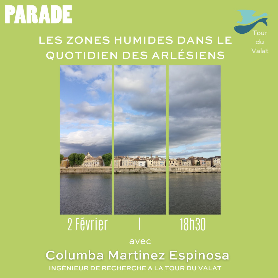 Atelier de découverte des zones humides