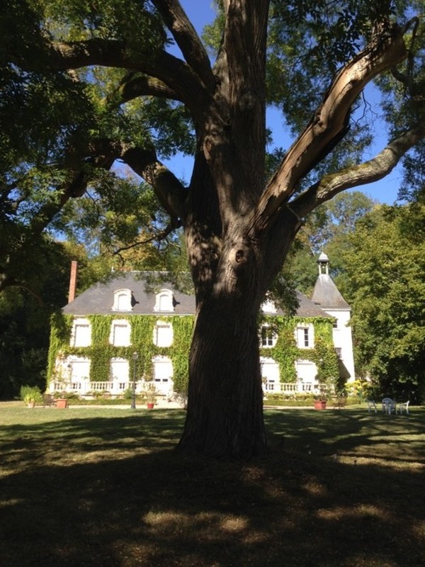 Crédits image : Association des Amis du Patrimoine Artannais